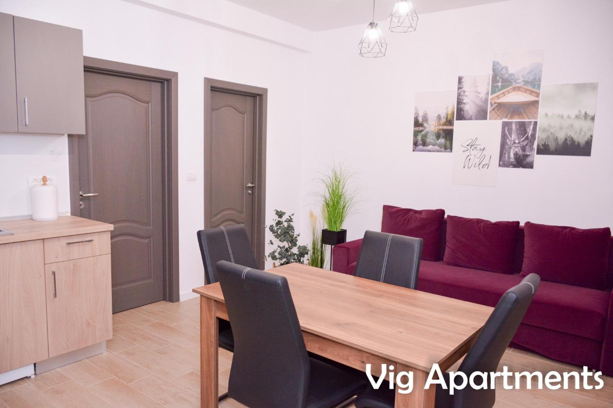 Vig Apartments Timisoara Exterior photo